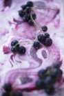 Close up shot of black currant ice cream — Stock Photo