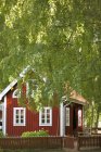 Casa de madera falu rojo en exuberante vegetación - foto de stock