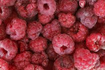 Pile of fresh raspberries, close up shot — Stock Photo