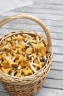 Cesta de vime cheia de cogumelos chanterelle frescos — Fotografia de Stock