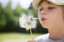 Boy blowing dandelion, selective focus — Stock Photo