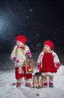 Hermanas con linternas de pie en el patio trasero por la noche - foto de stock