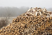 Pile of firewood and foggy landscape on background — Stock Photo