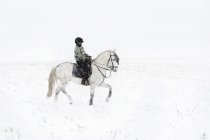 Mature woman riding horse at winter — Stock Photo