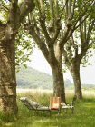 Sillas de salón y pequeña mesa debajo de los árboles en el jardín - foto de stock