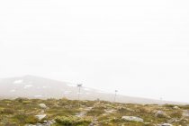 Grünes Gras auf Bergplateau im Nebel — Stockfoto