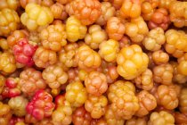 Overhead view of cloudberries in full frame — Stock Photo