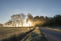 Rural road with trees in bright sunlight — Stock Photo