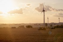 Silhouettes of wind turbines on field at dusk — Stock Photo