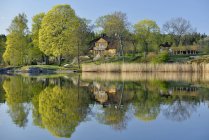 Cottage in lush greenery on lake shore — Stock Photo