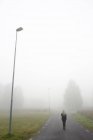 Жінка вигулює по дорозі в туман — стокове фото