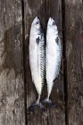 Two mackerel fish on rustic wooden surface — Stock Photo