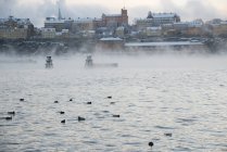 Вид спереду на балтійське море і місто з бухти — стокове фото