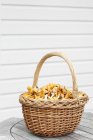 Wicker basket full of fresh chanterelle mushrooms — Stock Photo