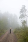 Жінка вигулює в туман в сільській місцевості — стокове фото