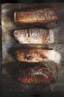 Вид зверху домашніх хлібних хлібів на лоток — стокове фото