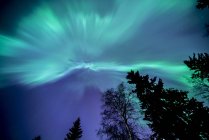 Blick auf die Äste von Polarlichtern am beleuchteten Himmel — Stockfoto