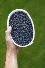 Elevated view of male hand holding bowl with blueberries — Stock Photo
