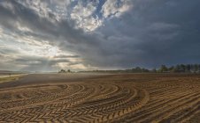 Сільськогосподарський пейзаж під драматичним хмарним небом — стокове фото