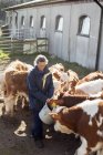 Donna alimentazione mucche vicino edificio esterno — Foto stock