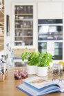 Ervas e livro de receitas na mesa na cozinha — Fotografia de Stock