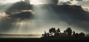 Sunbeams illuminating field from storm clouds — Stock Photo