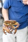 Gros plan de l'homme tenant du crabe, mise au point différentielle — Photo de stock