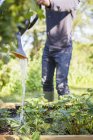 Людина поливає рослини, диференціальний фокус — стокове фото