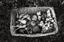 Top view of root vegetables in basket, black and white — Stock Photo