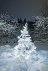 Covered in snow fir tree illuminated at night — Stock Photo