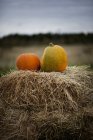 Close up shot of two pumpkins on haystack — Stock Photo