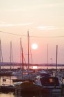 Front view of lots anchored yachts at sunset — Stock Photo