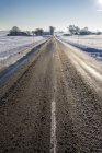 Vista a lo largo de camino de campo húmedo en invierno - foto de stock