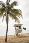 Хатина рятувальників на пляжі поруч з пальмою — стокове фото