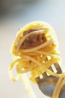 Nahaufnahme von Spaghetti und Frikadelle auf Gabel — Stockfoto