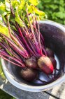 Elevated view of beetroots in metal bucket — Stock Photo