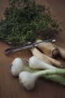 Elevated view of herbs and vegetables on wooden table — Stock Photo
