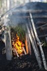 Живописный вид на горящий огонь и бревна в печи — стоковое фото