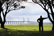Silueta del hombre mirando el puente oresund desde la distancia - foto de stock