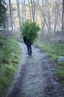 Teenage boy walking and carrying tree — Stock Photo