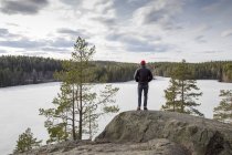 Зрелый турист смотрит на лес, вид сзади — стоковое фото