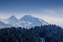 Picos de Alpes suíços cobertos de neve sob o céu azul — Fotografia de Stock