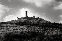 Castello medievale in collina, bianco e nero — Foto stock