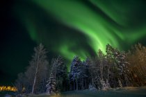 Vista de árvores e aurora boreal céu iluminado — Fotografia de Stock