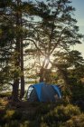 Tent in forest in sunny day, northern europe — Stock Photo