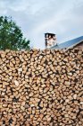 Pile of firewood outdoors, selective focus — Stock Photo