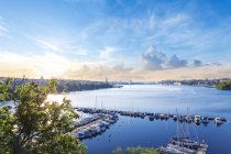 Vista elevata del porto della città con barche ormeggiate — Foto stock