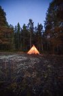 Tenda brilhante definido na floresta à noite — Fotografia de Stock