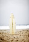Вид спереду на одну дошку для серфінгу на пляжі — стокове фото