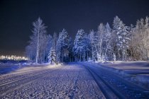 Estrada rural coberta de neve com árvores congeladas à noite — Fotografia de Stock
